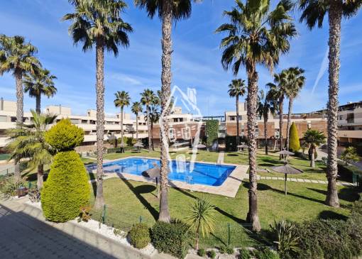 Apartment - Rental - Alicante - Alicante Golf