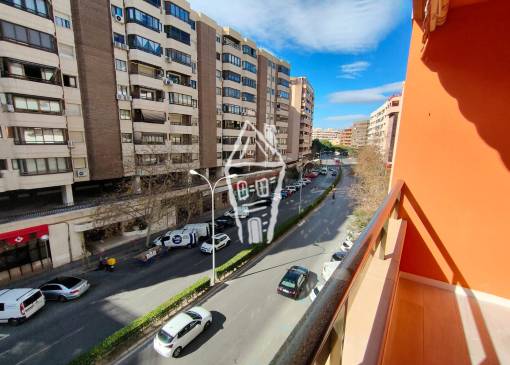 Apartment - Rental - Alicante - Centro