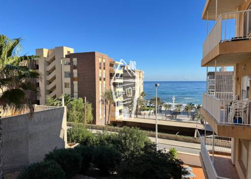 Apartment - Sale - Elche - Center