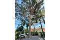 Sale - Villa - San Vicente del Raspeig - Villamontes - Boqueres