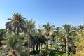 Vente - Appartement - Alicante - Centro