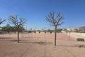 Vente - Bungalow - Crevillente