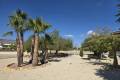 Vente - Bungalow - Crevillente